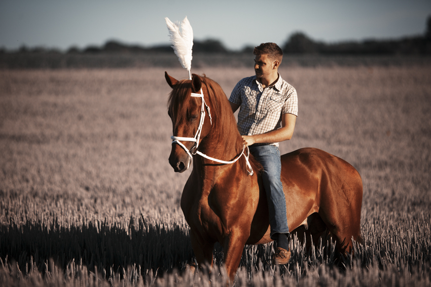 Equestrian Fashion Ruby Deshabille and Reducto © Tigz Rice Studios 2014. https://www.tigzrice.com